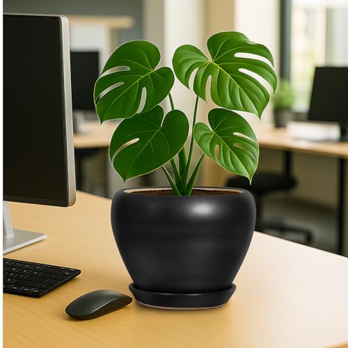 8 Inch Plant Pot