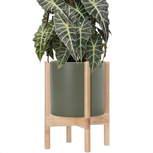 Plastic Pot with Natural Wood Stand (Olive Pot + Natural Stand / 10 Inch)
