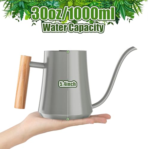 1L 35oz Metal Watering Can Indoor with Long Spout (Gray)