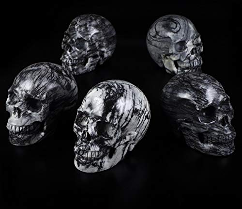 5.0" Black Picasso Crystal Skull (5.0 Inches Black Picasso Jasper)