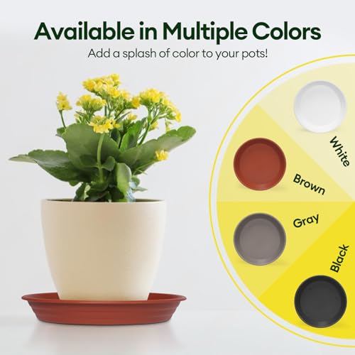 6 Pack 12" Plant Saucers Heavy Duty Plastic Plant Trays for Pots (12"(6 pack) / Brown)