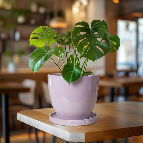 Plant Trays for Pots 7.5 Inch (7.5 Inch / Purple)