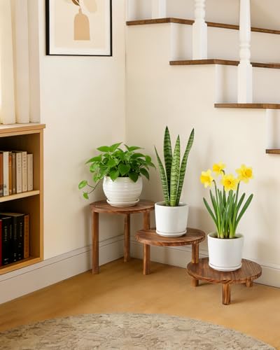 3 Tier Ladder Plant Stand