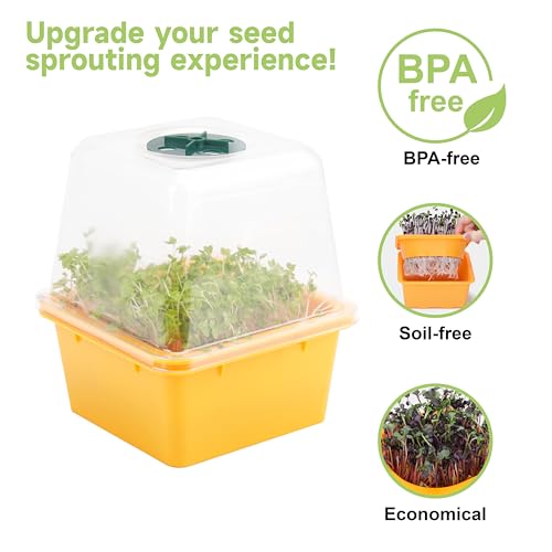 Microgreen Growing Trays (6 Pack-colorful Base)