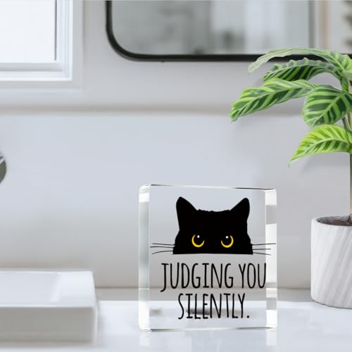 Judging you Silently Funny Sign (Siently)