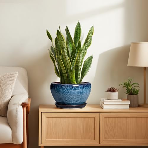 Ceramic Pots for Plants (9 Inch / Blue)