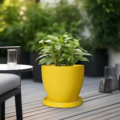 Plant Drip Trays (11.4 Inch / Yellow)