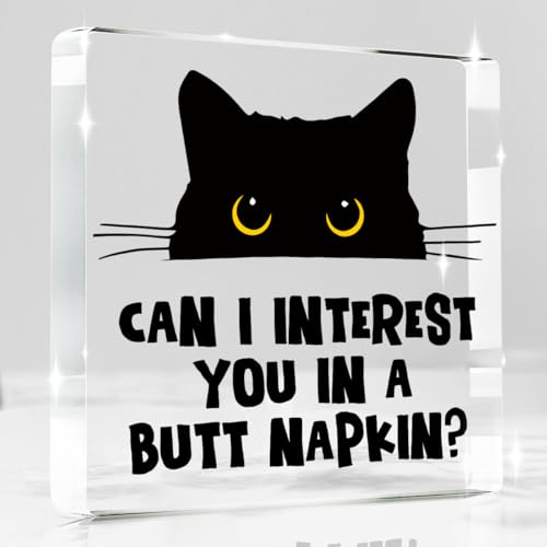 Can i Interest you in a Butt Napkin Funny Sign (Interest)