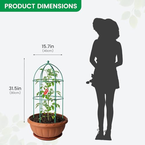 3 Pack Metal Plant Support Cage for Tomato Peony Cucumber (31.5 x 15.7 in / Green)