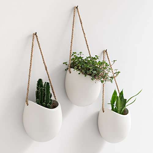 Wall Planters