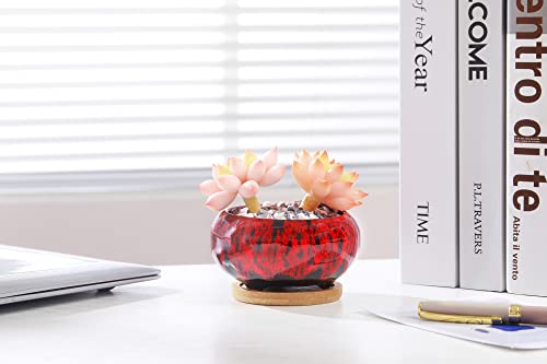 Cute Ceramic Succulent Garden Pots (5 Count)