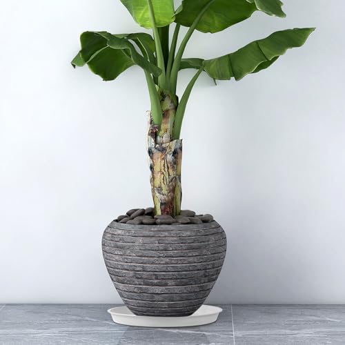 13.5 Inch Plant Saucer (13.5" (4 Pack) / White)