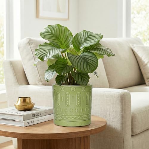 Ceramic Flower Pots (6 Inch / Green - 2)