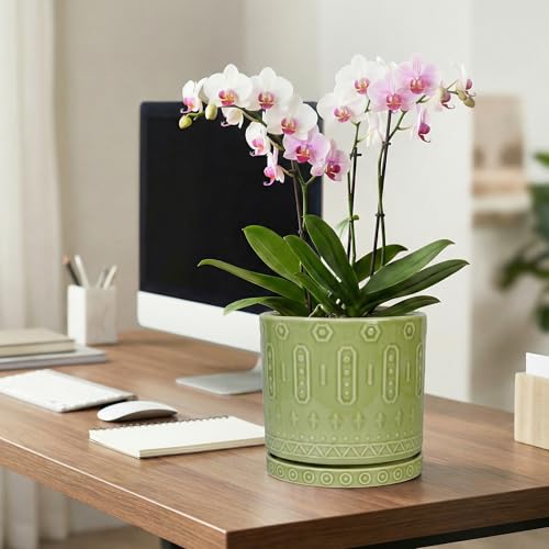 Ceramic Pots for Plants (8 Inch / Green - 2)