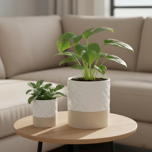 Self Watering Plant Pot for Indoor Plants (Matte White & Brown Star / 4.5"+6" Self Watering)
