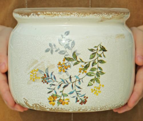 Rustic Cottage Ceramic Plant Pot with Decorative Saucer (Yellow Sage / 7.7 in - w/ Saucer)
