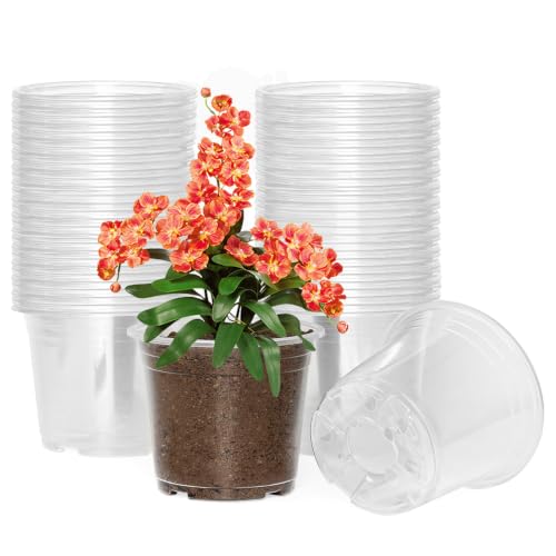 60 Pack 6 Inch Clear Nursery Pots with Drainage Hole (6 Inch)