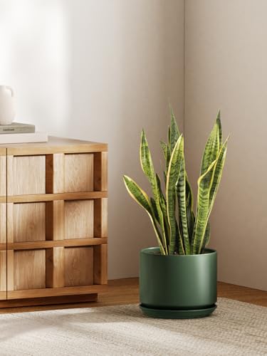 10 inch Plant Pot (Forest Green / 10")
