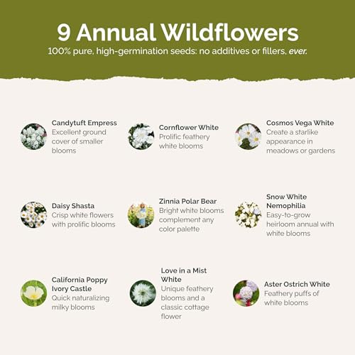 Cloud 9 Flower Mixed Seeds for Planting (5 Pounds / Cloud 9)