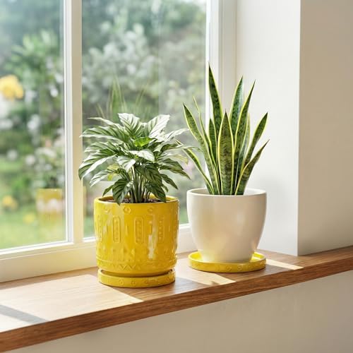 Plant Trays for Pots (5.6 Inch (2 Pack) / Yellow)