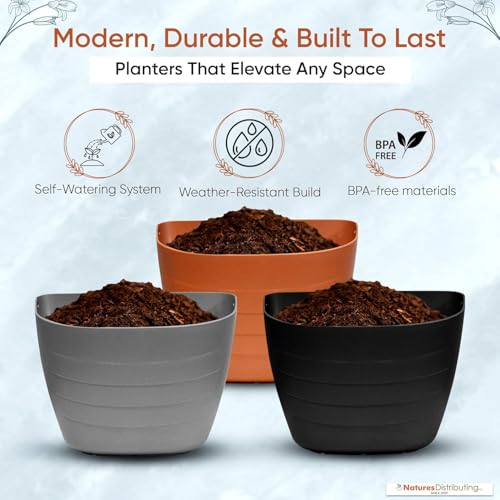 12 Inch Self Watering Wall Planter for Indoor & Outdoor Use (Terracotta / 12 inches - WITH PLUG)