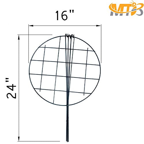 10 Pack 16 x 24 inch Green Peony Cages Grow Through Plant Support Stakes Flower Support Hoops Heavy Plants Brace Rings (Grid 10pack)
