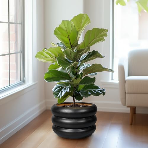 Ceramic Flower Pot 13.5 Inch