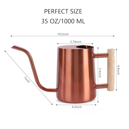Watering Can Indoor Plants (Copper)