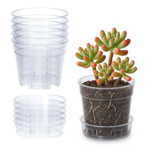 3 Inch Clear Plastic Plant Pot with Drainage Holes (3" x 2.5")