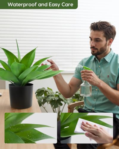 Fake Agave with Black Pot