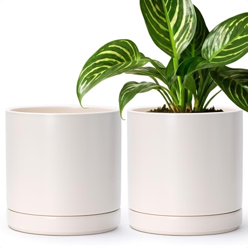 Set of 2 Plants Pots (2 Count)