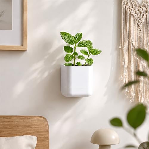 3.5 Inch Wall Mounted Self (3.5" (1 Pack) / White)