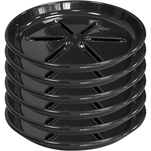 6 Pack of Plant Saucer 6 inch