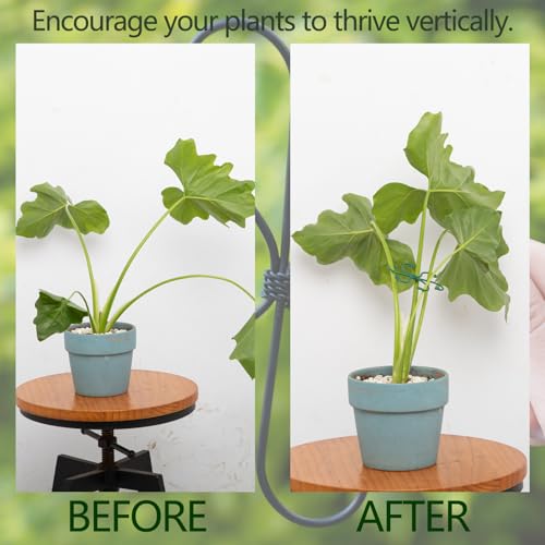 5PCS 2.75IN Monstera Plant Stem Support (Green / 2.75IN*2.75IN)