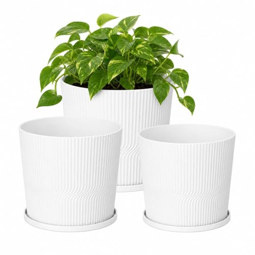 3 Pack Plant Pots Indoor (White / 4.8''+5.5''+6'')