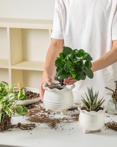 Ceramic Planter (2pcs White)
