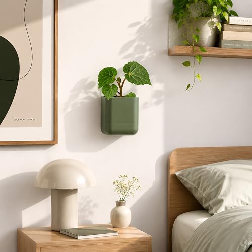 3.5 Inch Wall Mounted Self (3.5" (6 Pack) / Olive)