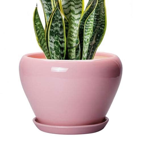Ceramic Modern Glaze Succulent Planter Pot with Drainage Hole and Saucer 8 Inch Round Flower Plant Pot for Indoor Outdoor Herb Snake Plants (8 Inch / Pink)