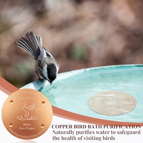 8 Pcs 4'' Copper Disc for Bird Bath (Bird Pattern)