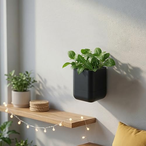 4.5 Inch Wall Mounted Self (4.5" (2 Pack) / Black)