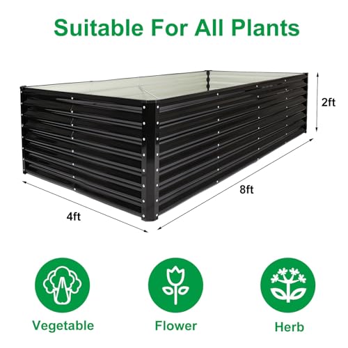 8×4×2ft Galvanized Raised (Black / Rectangle 8×4×2 Ft (1 Pc))