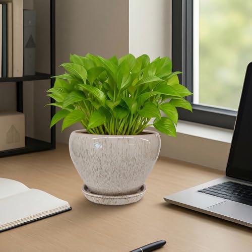 6 Inch Plant Pots (Beige / 6 Inch)