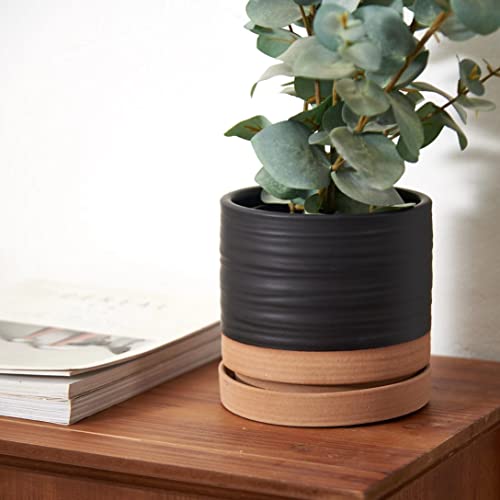6 Inch Plant Pots
