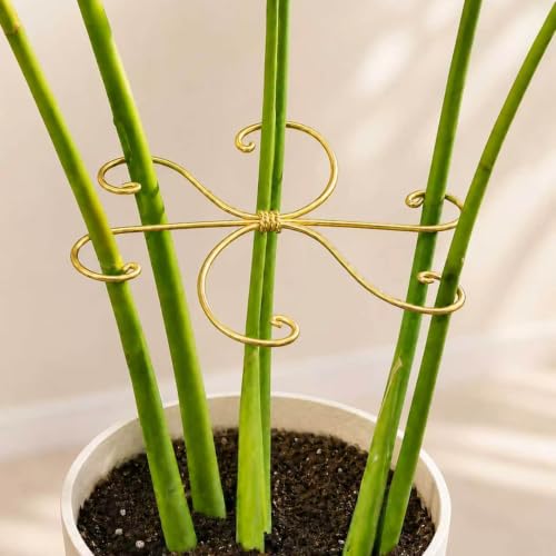 5PCS 7.5in Monstera Plant Stem Support (Gold / 7.5IN*7.5IN)