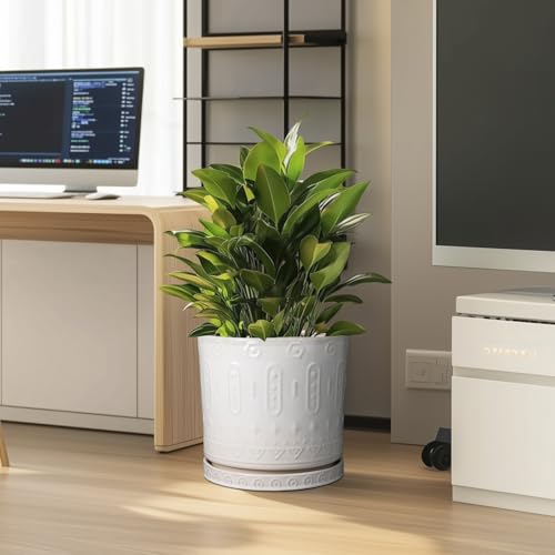 Ceramic Pots for Plants 12 Inch