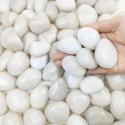 40 lbs White River Rocks for Landscaping (1-2 Inch / 40 Pounds)