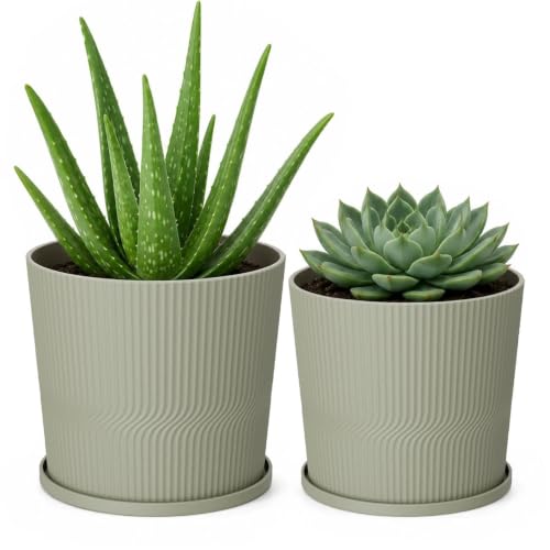 2 Pack Plant Pots Indoor (Brownish Green / 4.8''+5.5'')