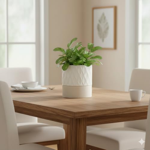 Ceramic Self Watering Plant Pot for Indoor Plants (Cream White & Brown Net / 6" Self Watering)