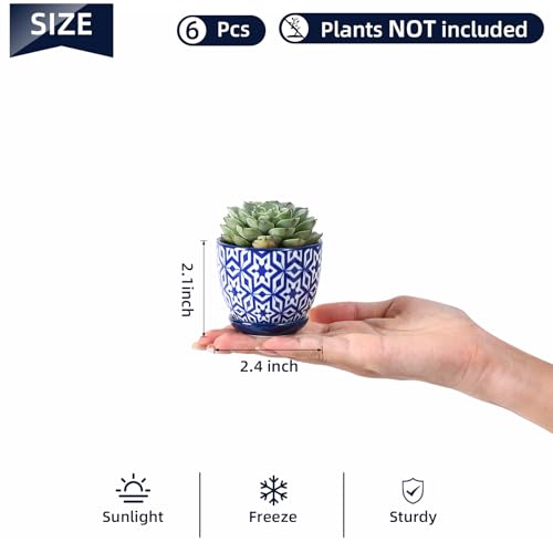 Ceramic 2.4 Inch Succulent Pots (Vintage Blue / 2.4 Inch, Set of 6)