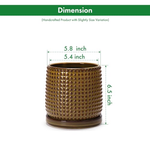 Beaded Ceramic Pot with Saucer (5.8 Inch / Olive Bronze)